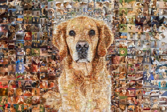 Winston's finished mosaic portrait seen whole